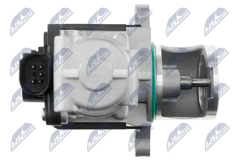 egr-vw-006_3-wm.JPG