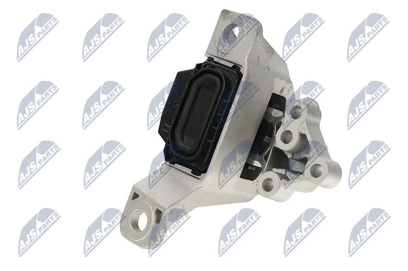 Paigutus, Mootor, NTY ZPS-FR-069