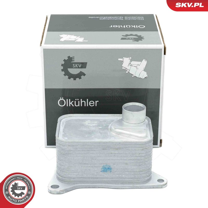 Prekės atitinka OEM kodą: 06K117021J