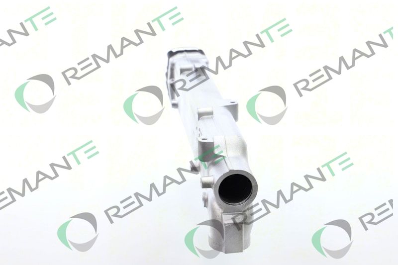 REMANTE 010-001-000003R EGR Module