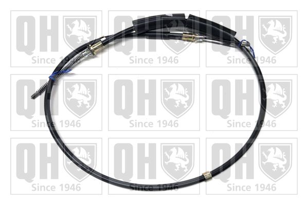 QH_BC2338.JPG