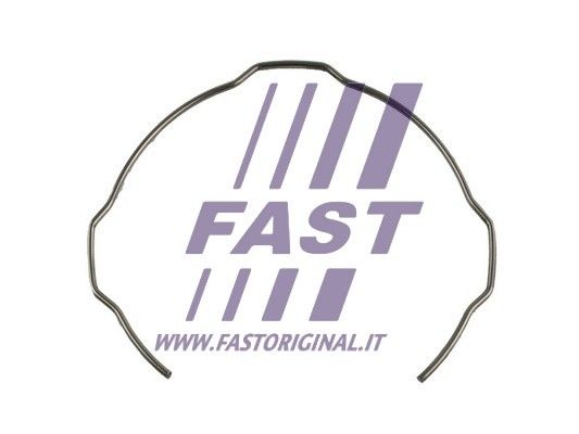 Пружина синхронизатора Fiat Ducato (06-, 14-) (FT62004) Fast