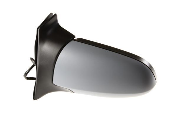 BLIC 5402-04-1125232P Exterior Mirror