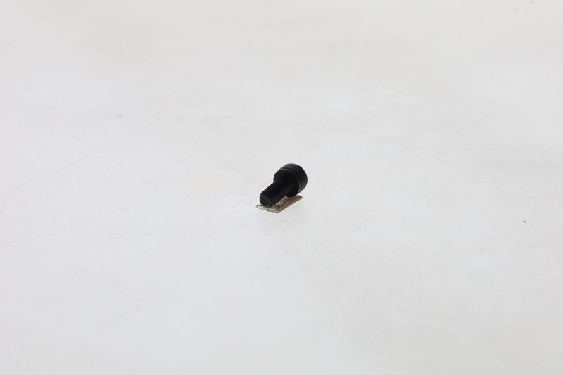BOSCH F019D01609 Screw
