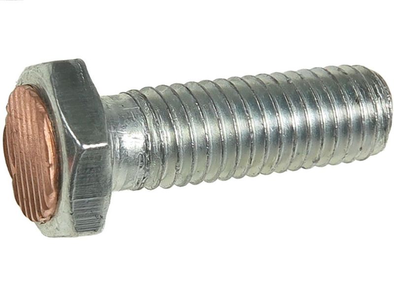 251797.JPG