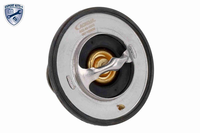 ACKOJA A52-99-0005 - Termostatas