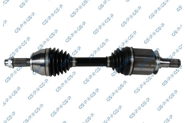 204311.JPG