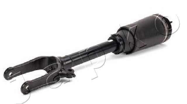 MJAS181_1.JPG