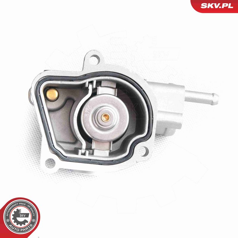 ESEN SKV 20SKV029 Termostatas
