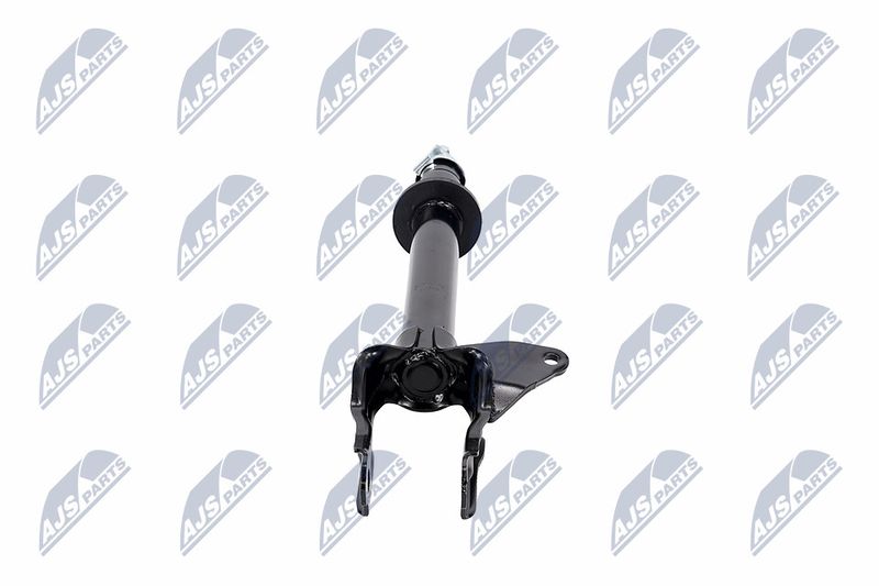 Amort, NTY A-CH-082
