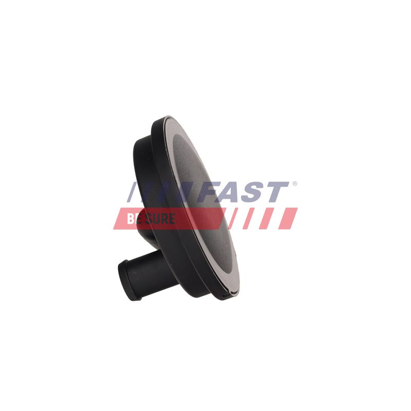 FAST FT11930 Valve, crankcase ventilation