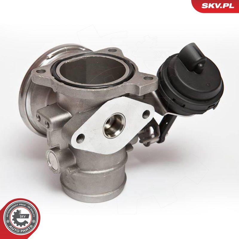 EGR-klapp, ESEN SKV 14SKV020