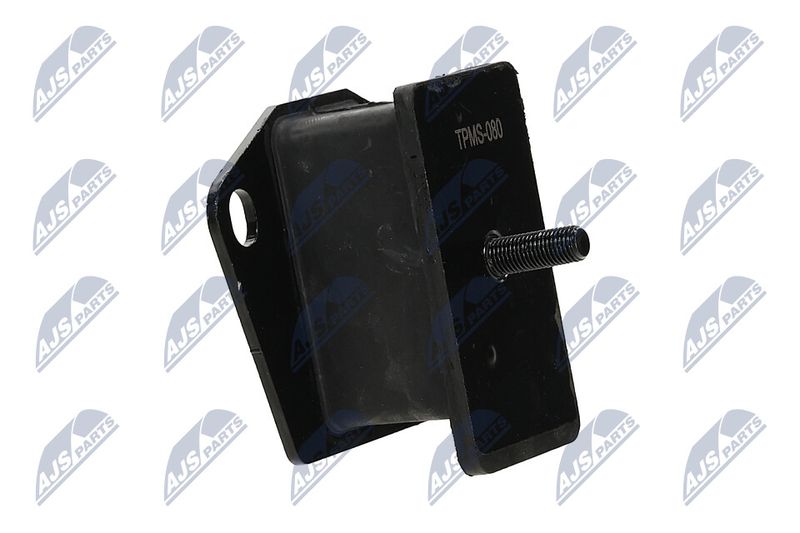 Paigutus, Mootor, NTY ZPS-MS-080