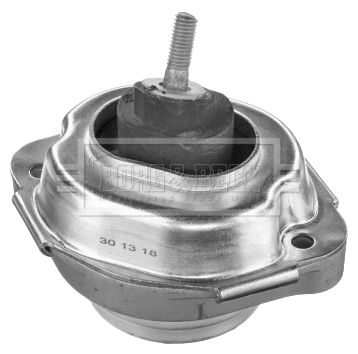 BEM4361_1688397.JPG