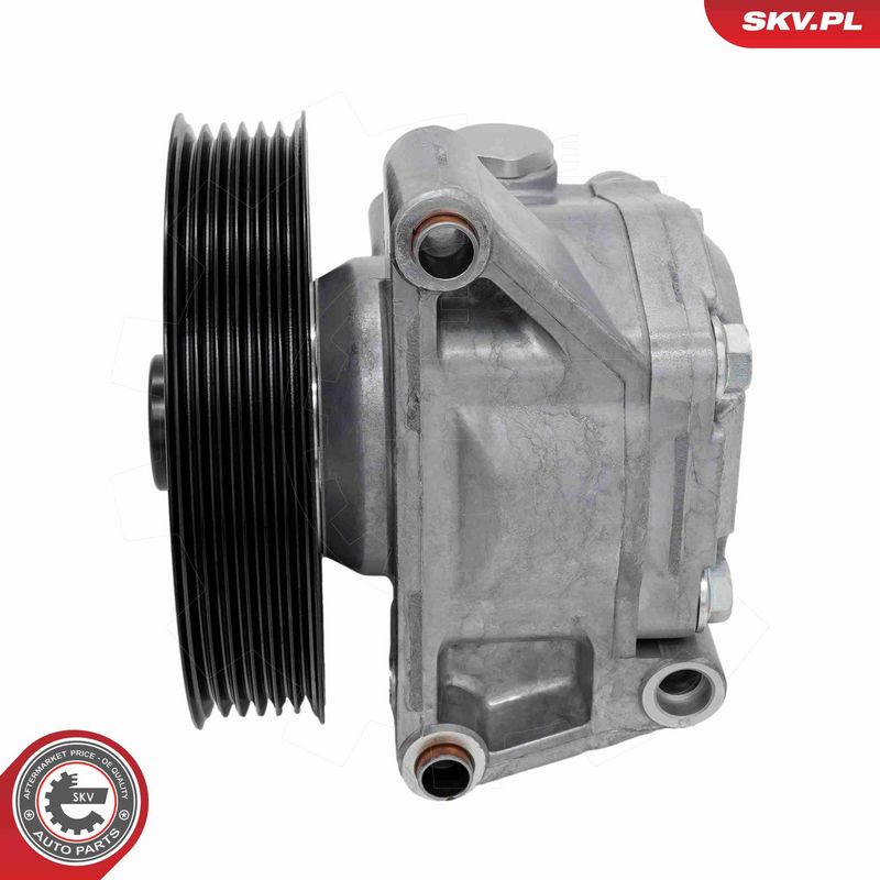 ESEN SKV 10SKV489 Hydraulic Pump, steering