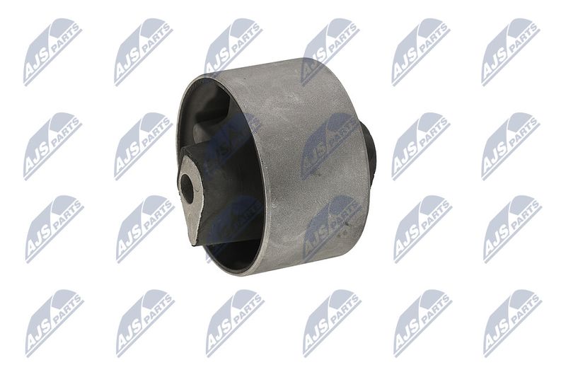 Paigutus, Mootor, NTY ZPS-CH-040