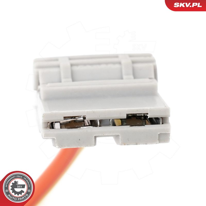 Roolilukk, ESEN SKV 65SKV206