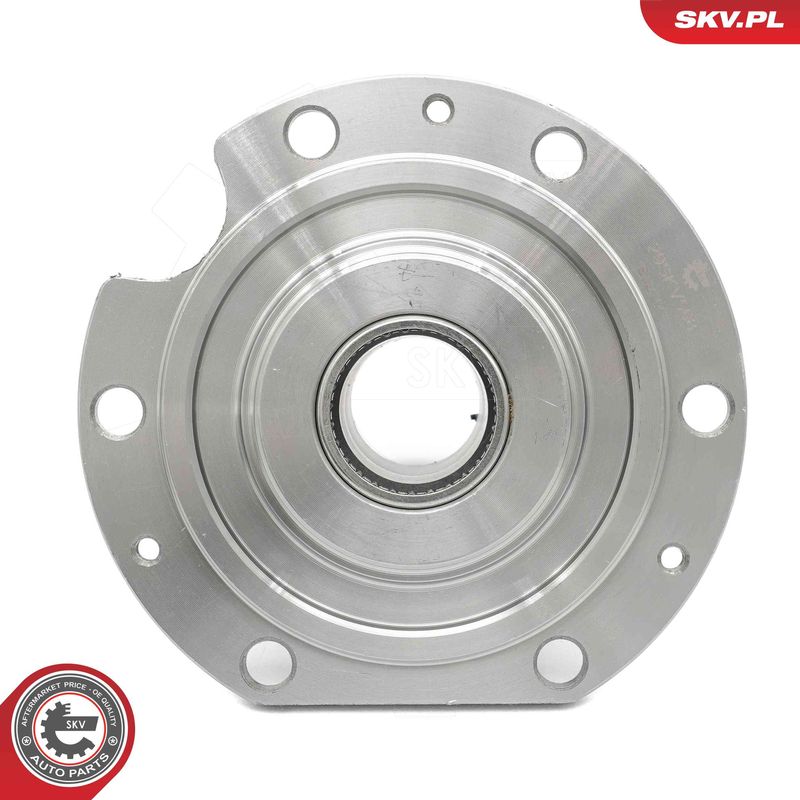 ESEN SKV 29SKV568 Wheel Bearing Kit