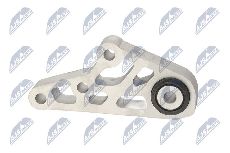 Paigutus, Mootor, NTY ZPS-CH-119