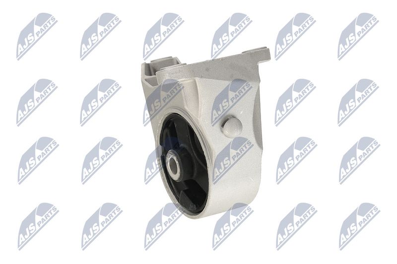 Paigutus, Mootor, NTY ZPS-PL-039