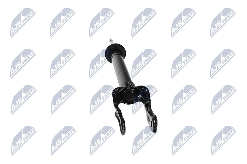 Amort, NTY A-CH-079