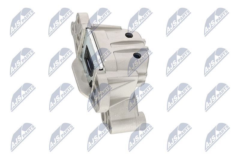 Paigutus, Mootor, NTY ZPS-CH-133