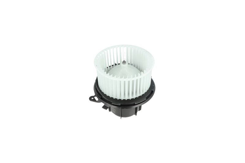 Salongipuhur, NRF 34162