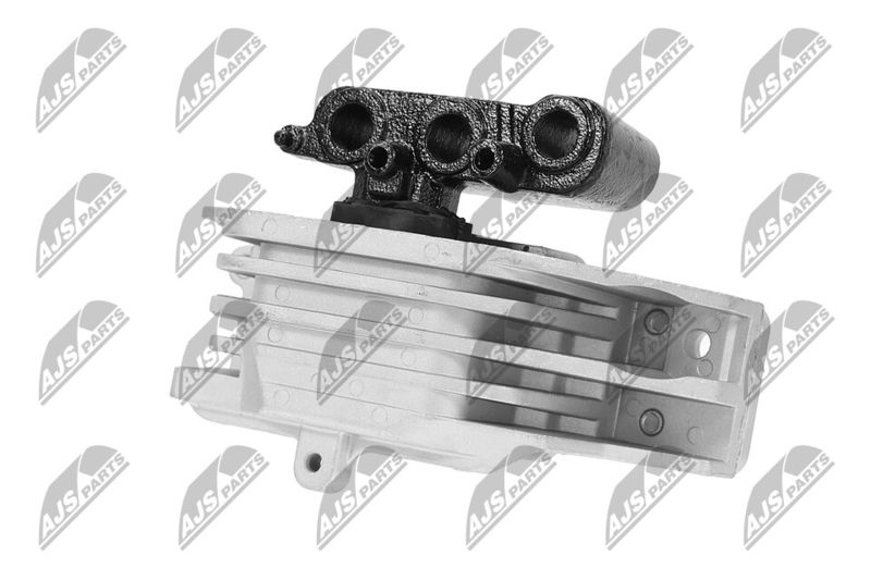 Paigutus, Mootor, NTY ZPS-CH-103