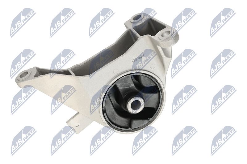 Paigutus, Mootor, NTY ZPS-PL-039