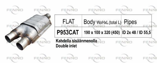 P953CAT.JPG