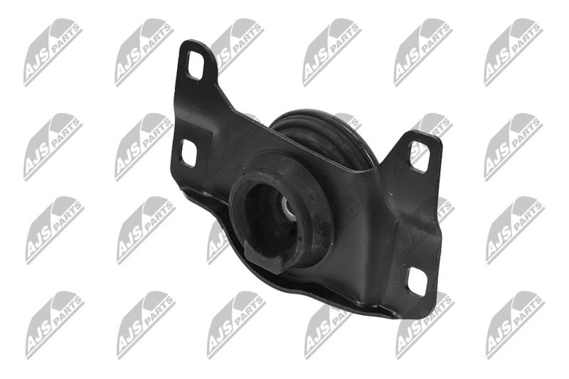 Paigutus, Mootor, NTY ZPS-FR-052