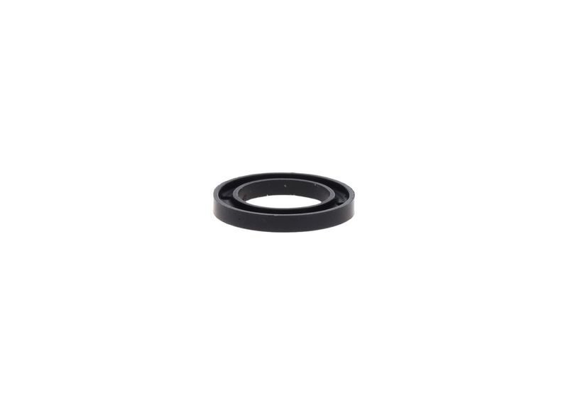 Garnitura 2 430 290 002 BOSCH