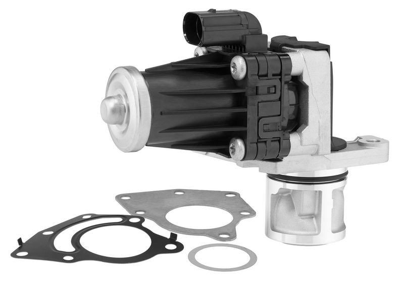 BorgWarner ERG vožtuvas