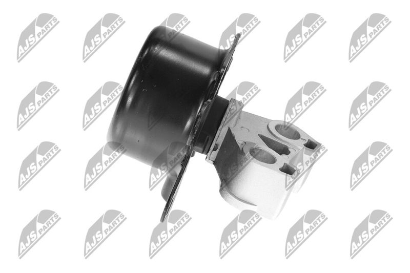 Paigutus, Mootor, NTY ZPS-PL-053