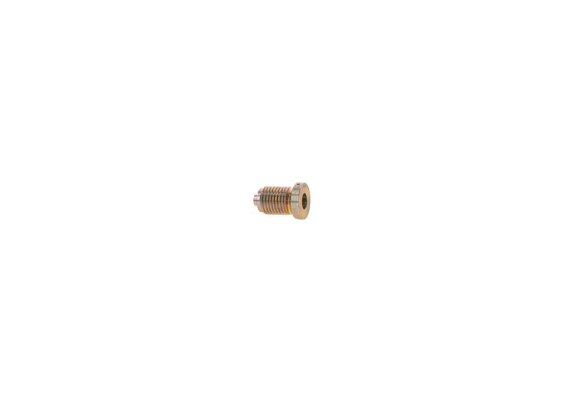 BOSCH 2413462020 Screw