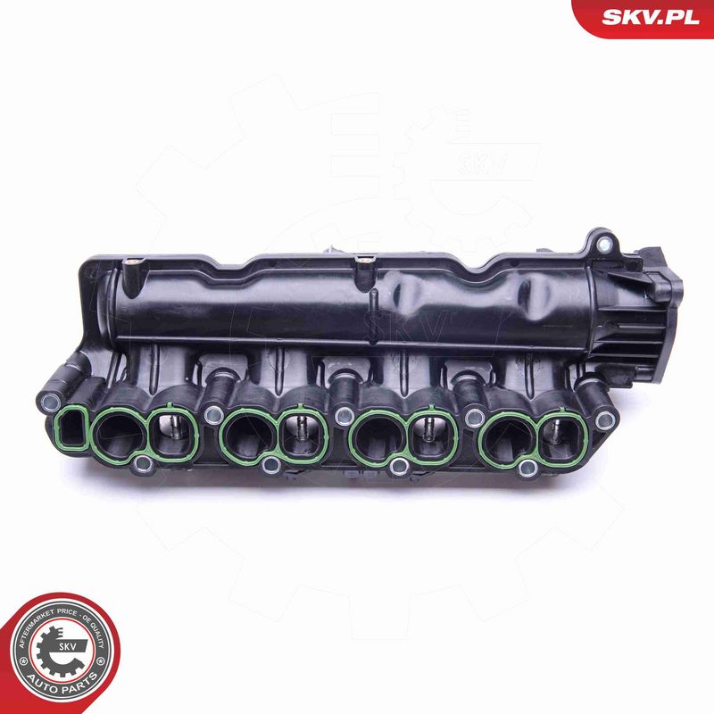 ESEN SKV 49SKV005 Intake Manifold Module