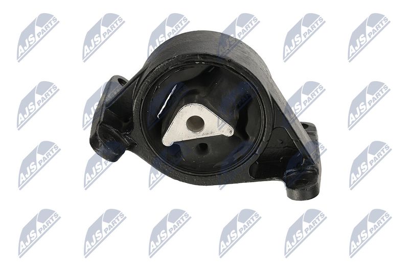 Paigutus, Mootor, NTY ZPS-CH-043