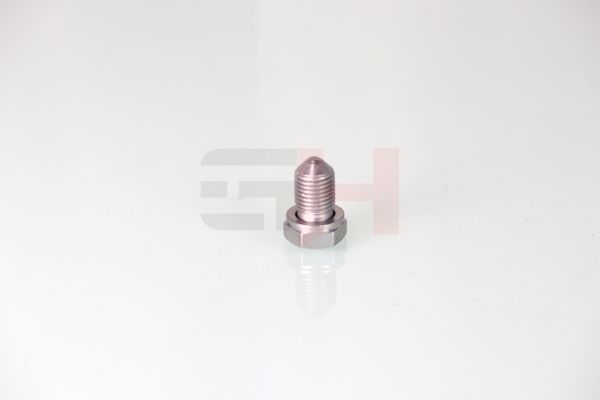 GH GH-399900 Screw Plug, oil sump