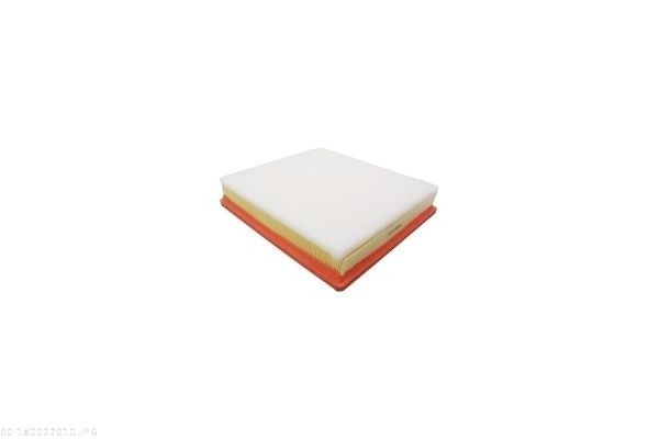 AUTOMEGA 180022010 Air Filter