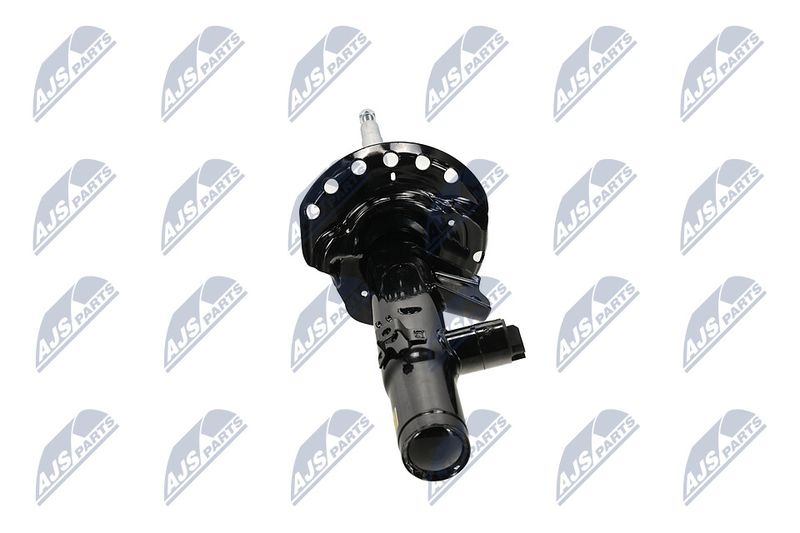 Amort, NTY A-LR-033