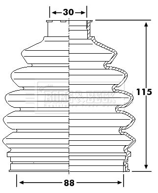 BCB6236_292449.JPG