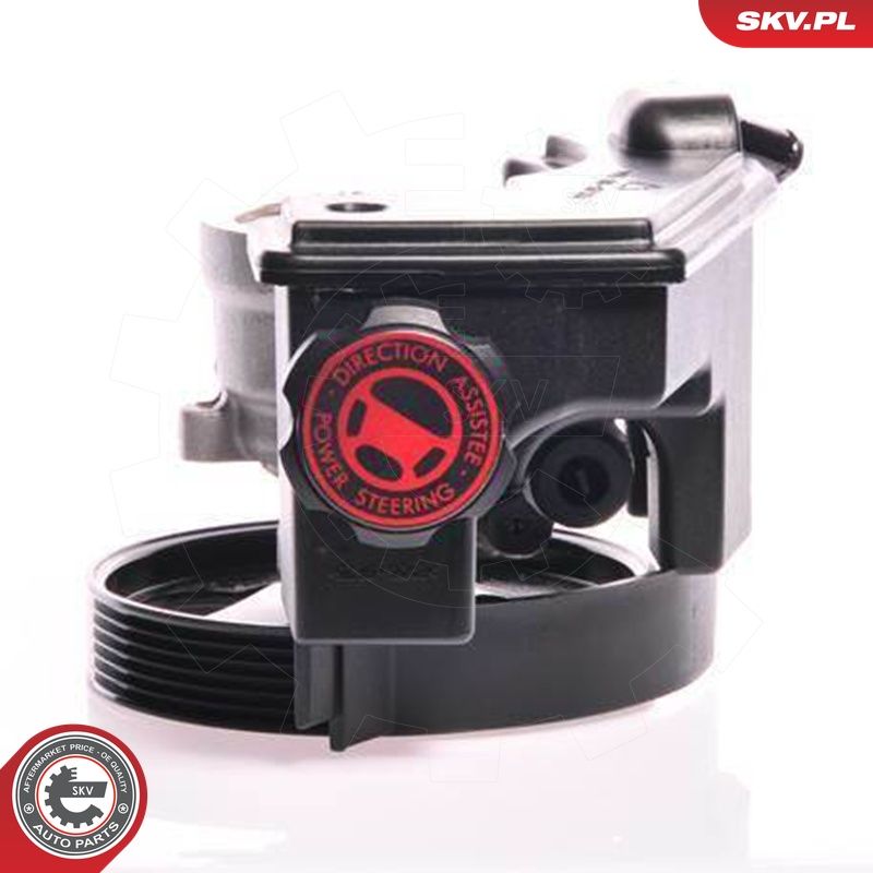 Hüdraulikapump, roolimine, ESEN SKV 10SKV159