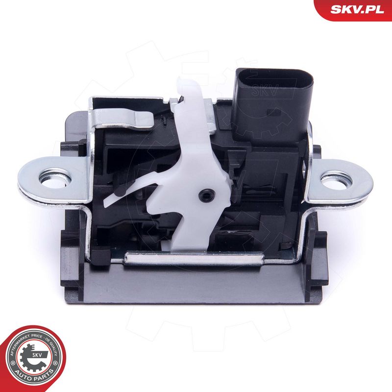 Tagaluugi sulgur, ESEN SKV 16SKV249