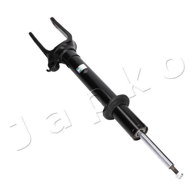 MJAS422_2.JPG