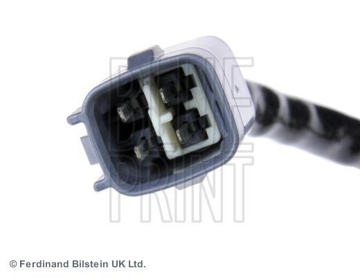 ADT37017_2.JPG