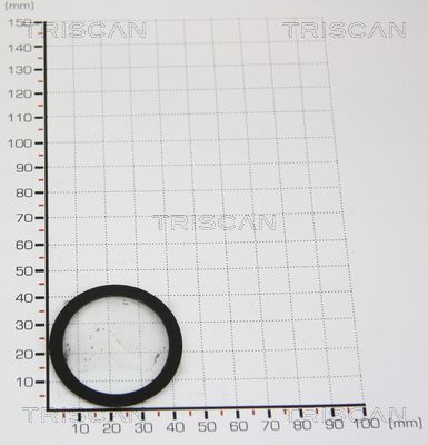 TRIS88139977.JPG
