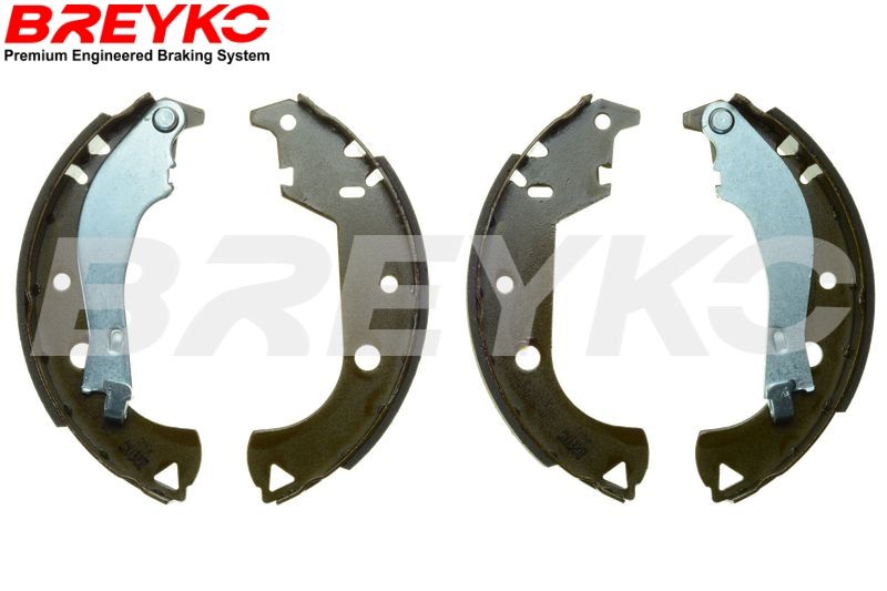 DAVID VASCO W8442 Brake Shoe Set