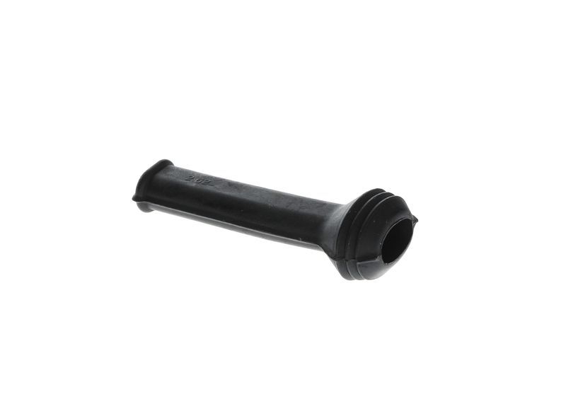 Capac 1 250 703 001 BOSCH