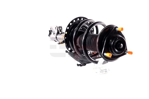 Vedruamort, GH GH-353057C01