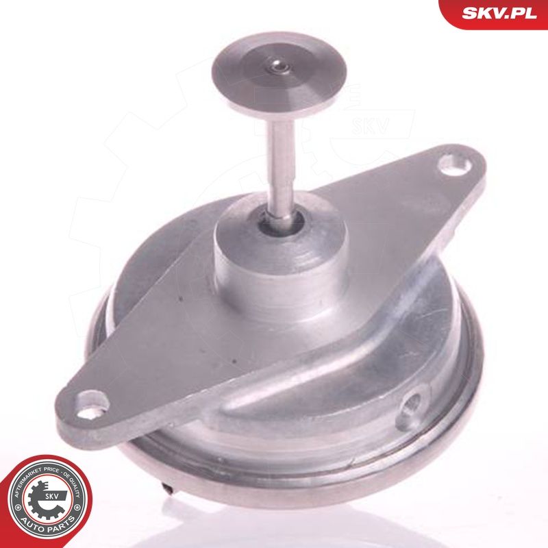 EGR-klapp, ESEN SKV 14SKV022
